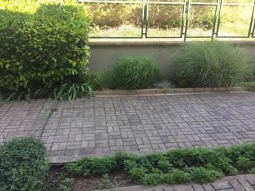 Фото номера Апартаменты-студио Апарт-отели Villa Allegra г. Каварна 8